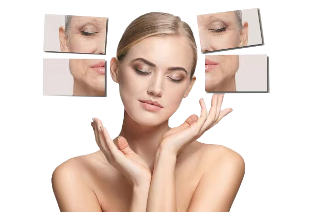 1716192754100678.png 外泌体.png